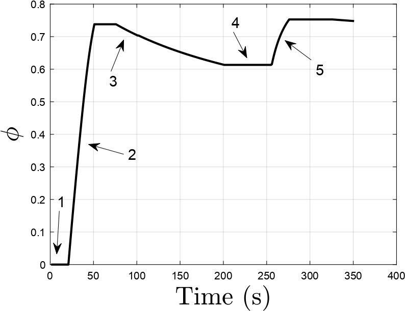 variation of effective damage density with time