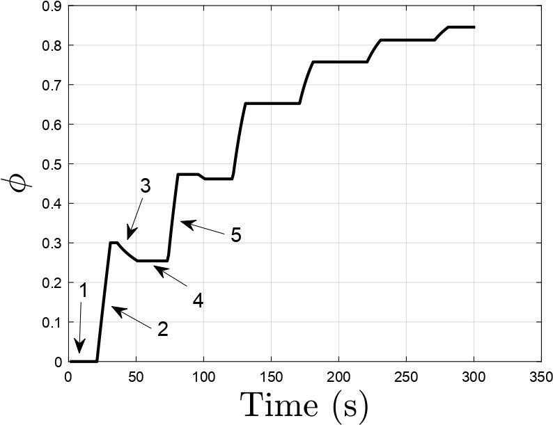 variation of effective damage density with time